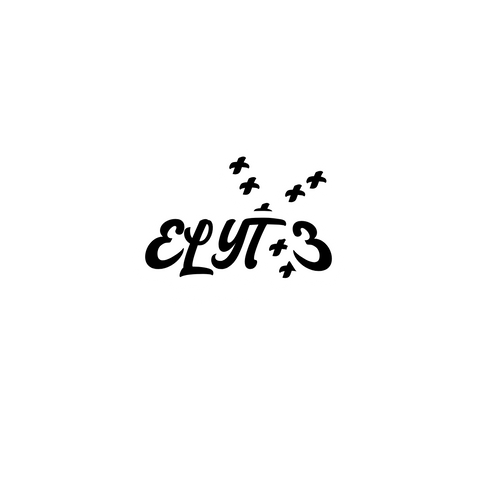 Elyte Entreprise